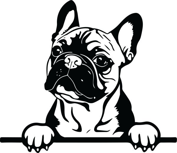 Francouzský buldoček - F