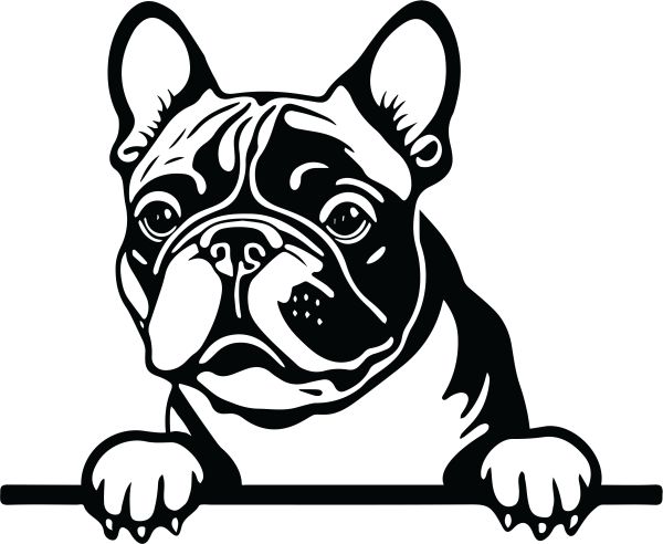 Francouzský buldoček - G