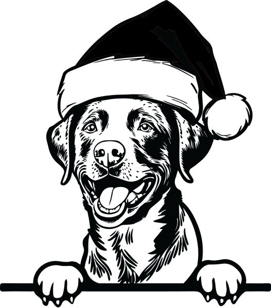 Chesapeake Bay retrívr - F (Vánoční)