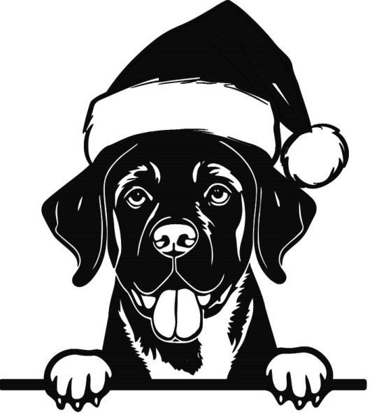 Labradorský retrívr - N (Vánoční)