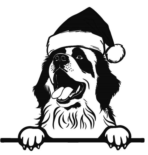 Novofundlandský pes - K (Vánoční)