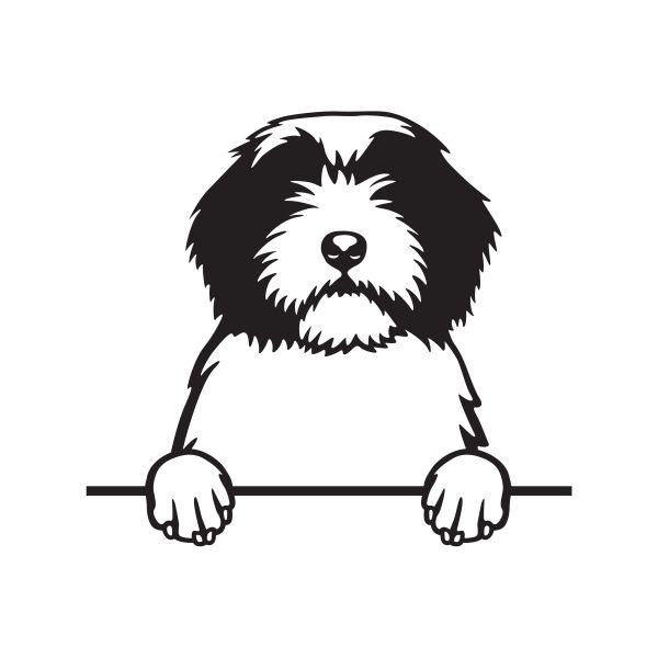 Polský ovčák nížinný - A