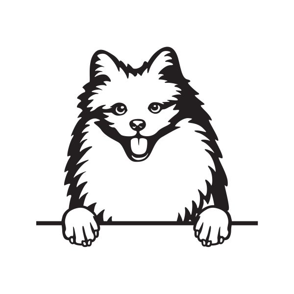 Americký eskymácký pes - A