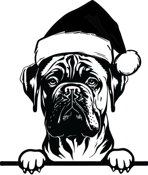 Bullmastif - F (Vánoční)