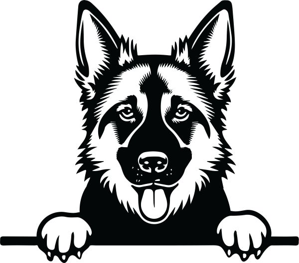 Německý ovčák krátkosrstý - H