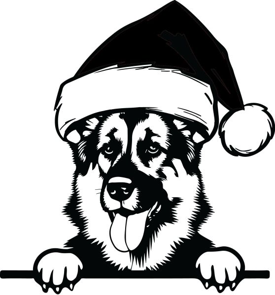 Německý ovčák krátkosrstý - K (Vánoční)