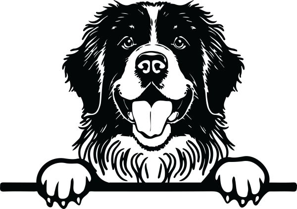 Novofundlandský pes - I