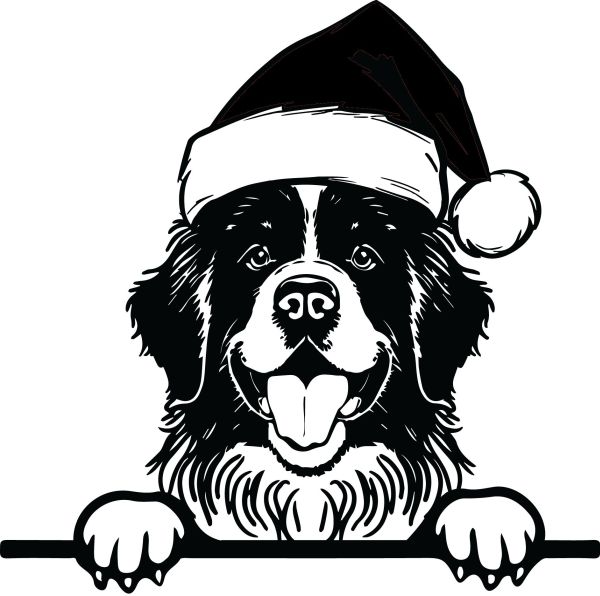 Novofundlandský pes - J (Vánoční)