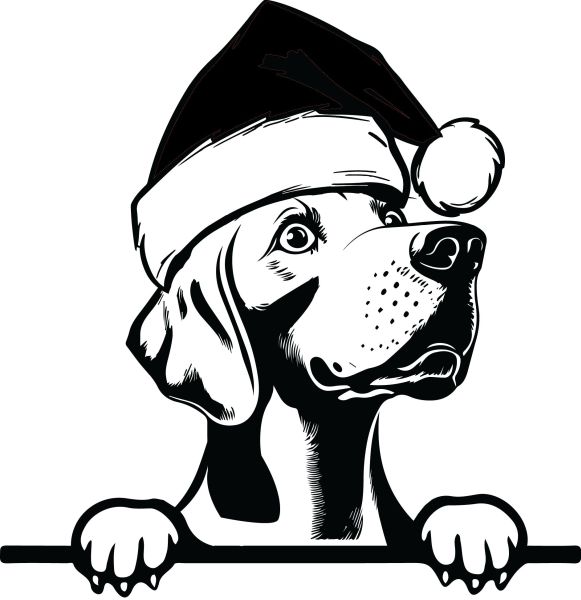 Výmarský ohař - I (Vánoční)