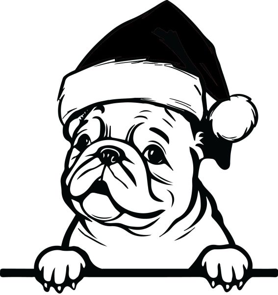 Buldog - T (Vánoční)