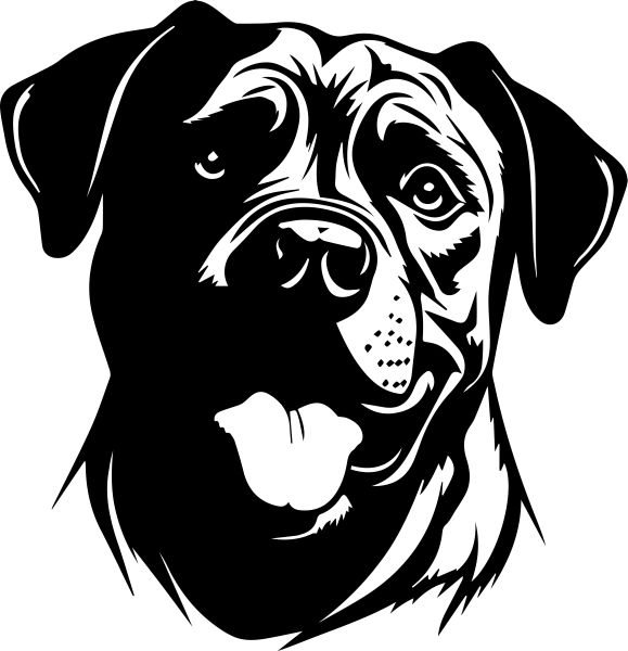 Cane Corso - C