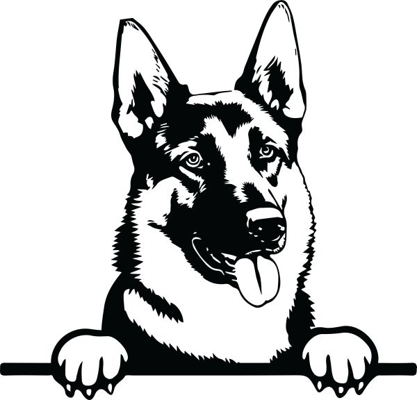 Německý ovčák krátkosrstý - I