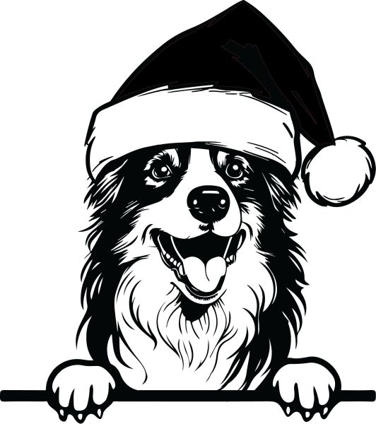 Australský ovčák - H (Vánoční)