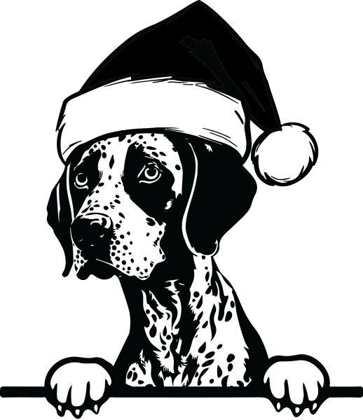 Německý ohař - krátkosrstý - H (Vánoční)