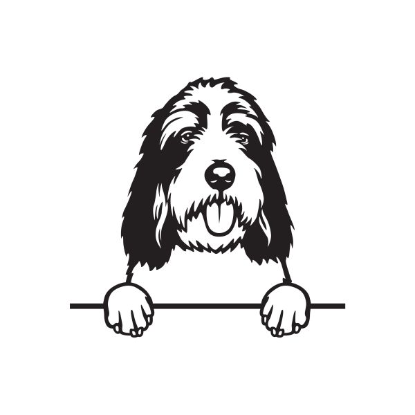 Velký hrubosrstý vendéeský baset - A