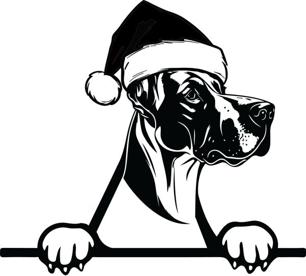 Německá doga - I (Vánoční)