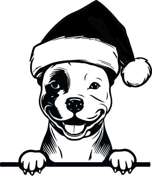 Pitbull - K (Vánoční)