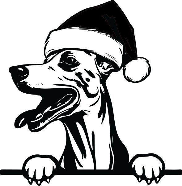 Whippet- E (Vánoční)