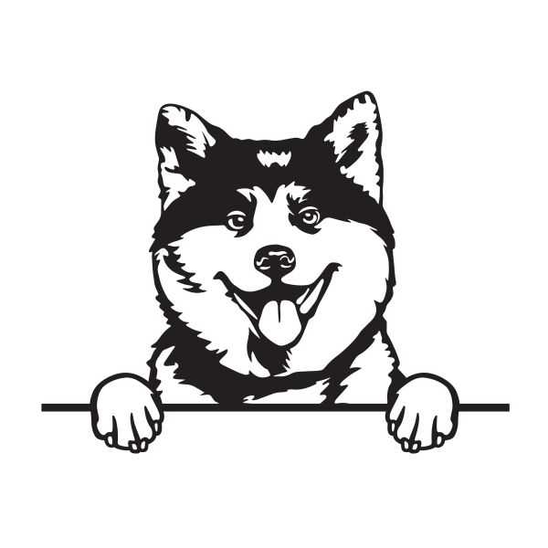 Akita Inu - A