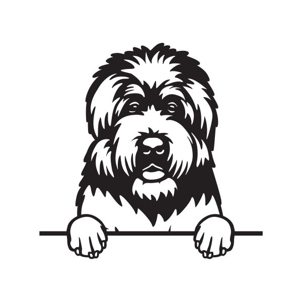 Ruský černý teriér - A