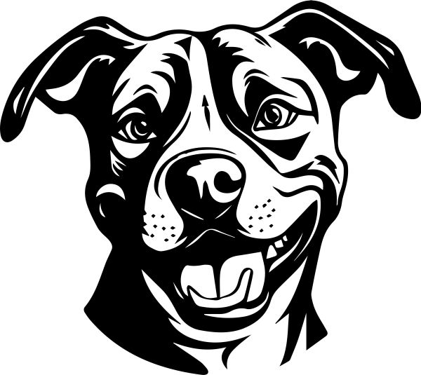 Americký staffordšírský teriér - H