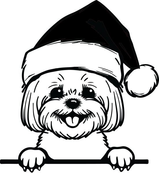 Bišonek - G (Vánoční)