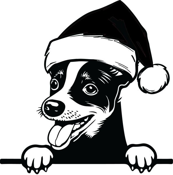 Pražský krysařík - F (Vánoční)