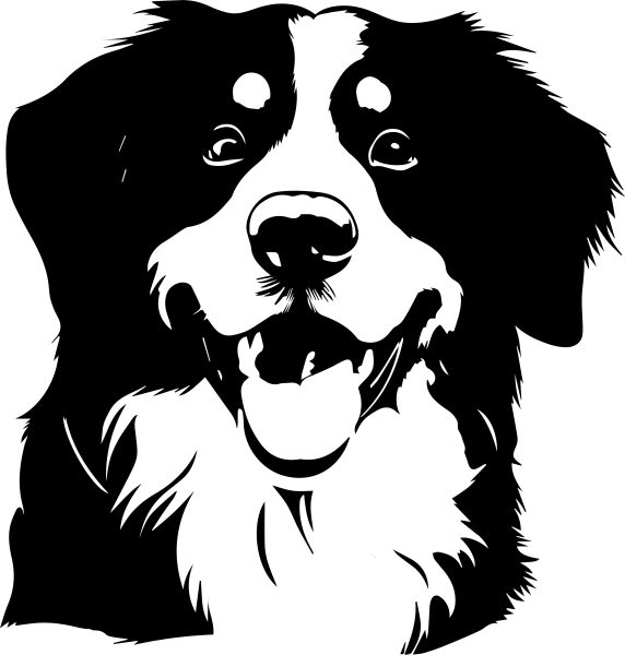 Bernský salašnický pes - E