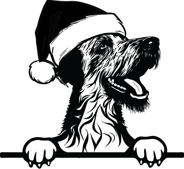 Irský vlkodav - G (Vánoční)