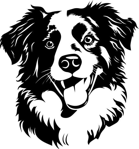 Australský ovčák - E