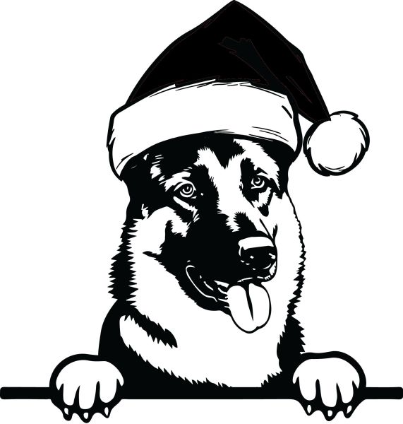 Německý ovčák krátkosrstý - L (Vánoční)