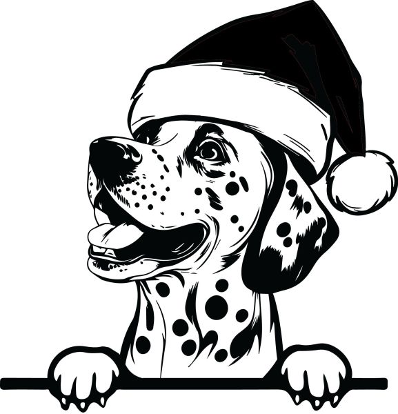 Dalmatin - I (Vánoční)