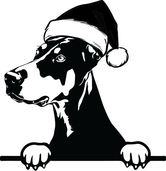 Dobrman - J (Vánoční)