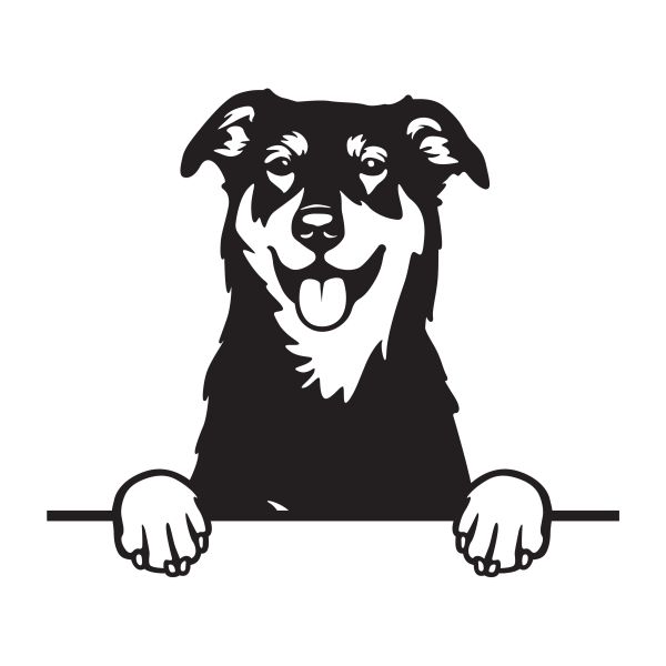 Beauceron - beaucký ovčák - A