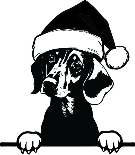 Jezevčík hladkosrstý - J (Vánoční)