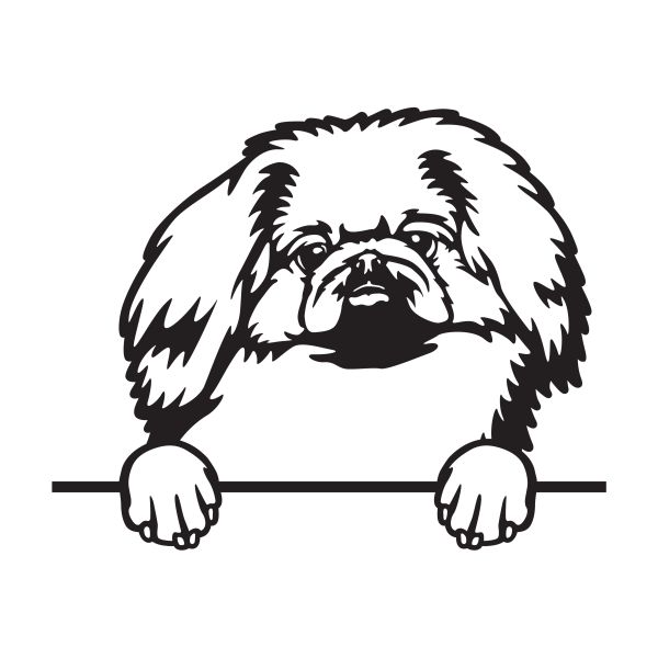 Pekingský palácový psík - A