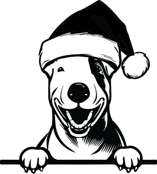 Anglický bulteriér - L (Vánoční)