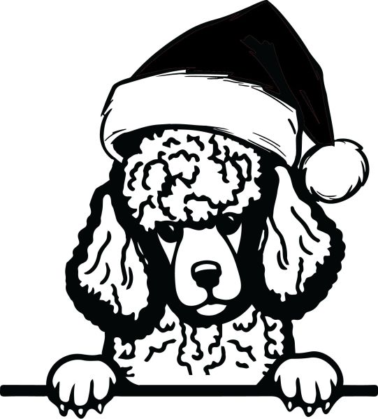 Pudl - G (Vánoční)