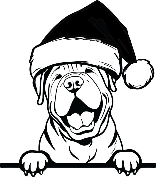 Šarpej - F (Vánoční)