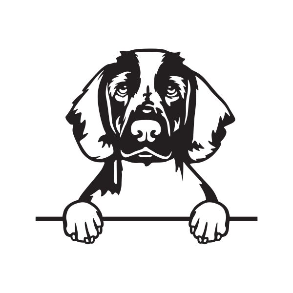 Velššpringršpaněl - A