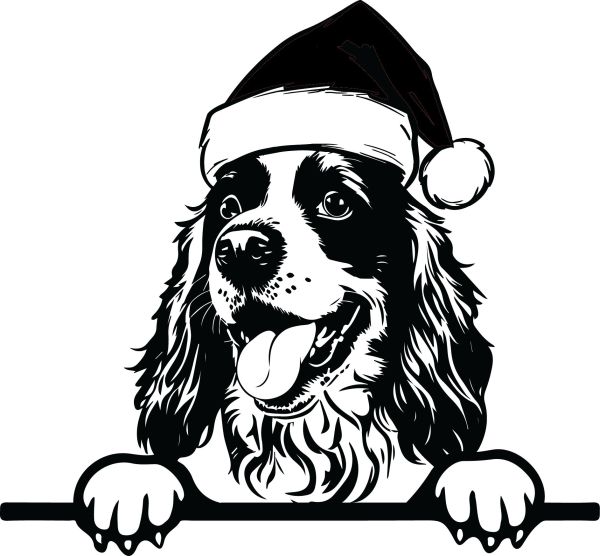 Anglický kokršpaněl - J (Vánoční)