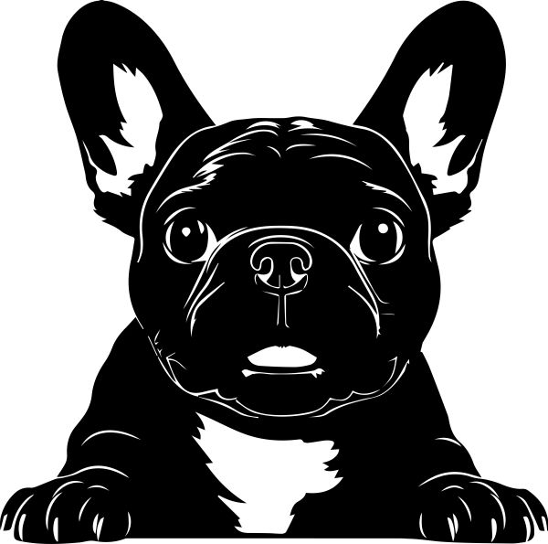 Francouzský buldoček - E