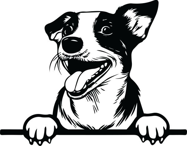 Jack Russell Teriér - G