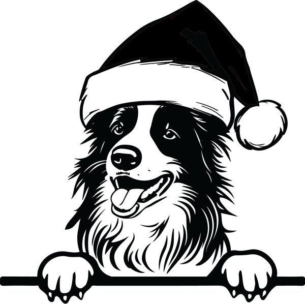 Border kolie - J (Vánoční)