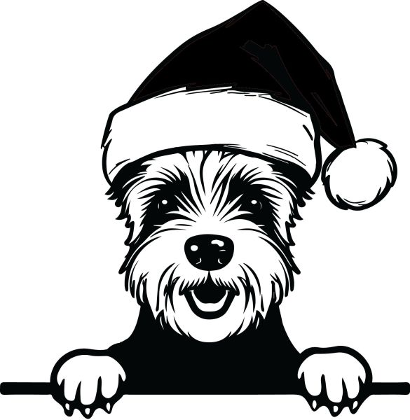 Westík - F (Vánoční)