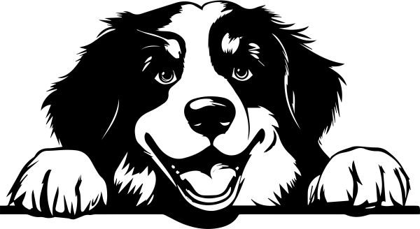 Bernský salašnický pes - D