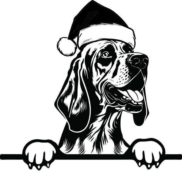 Bloodhound - G (Vánoční)