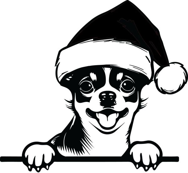 Čivava krátkosrstá - J (Vánoční)