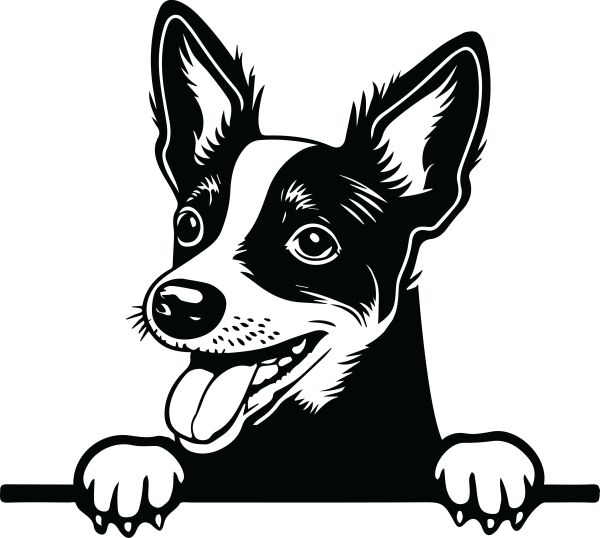 Pražský krysařík - E