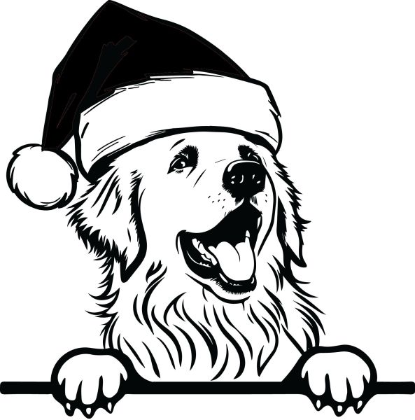 Pyrenejský horský pes - K (Vánoční)